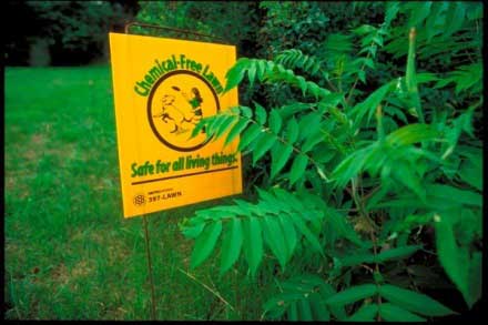 Prevent Pollution