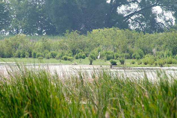 Protect Nearshore Areas