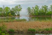 Wetlands