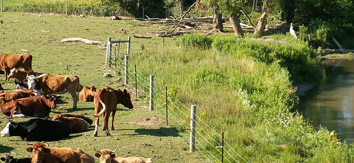 Pratiques exemplaires de gestion de l'agriculture