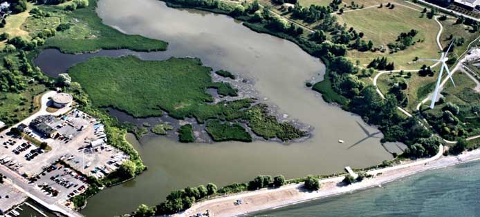 Terres humides riveraines